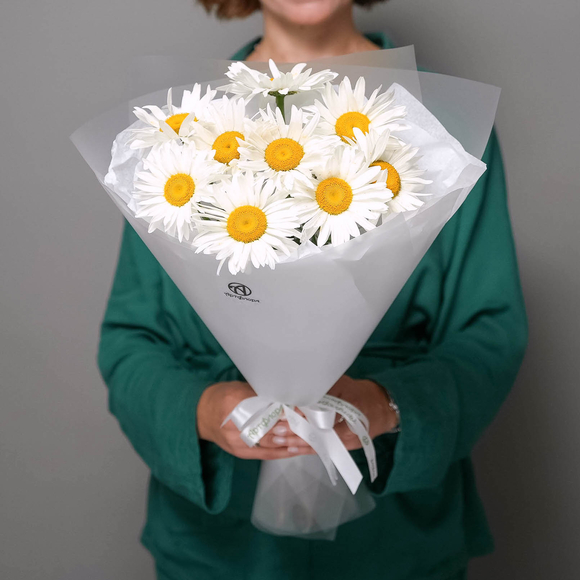 Букет из 9 садовых ромашек в корейской матовой пленке