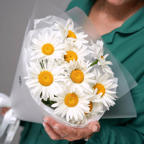 Букет из 9 садовых ромашек в корейской матовой пленке