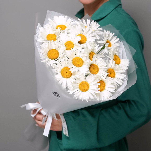 Букет из 15 садовых ромашек в корейской матовой пленке