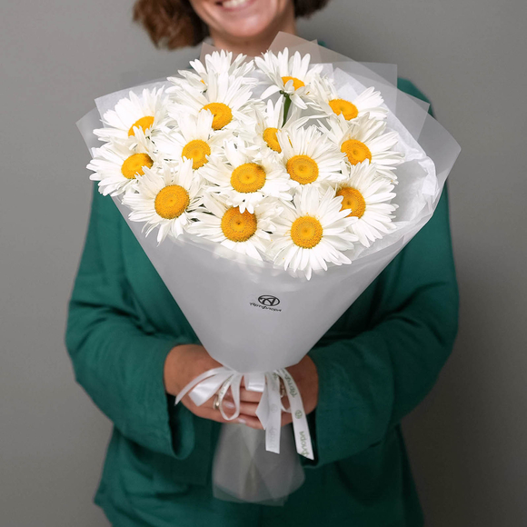 Букет из 15 садовых ромашек в корейской матовой пленке