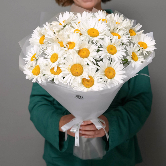 Букет из 25 садовых ромашек в корейской матовой пленке