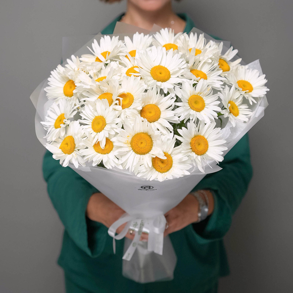 Букет из 25 садовых ромашек в корейской матовой пленке