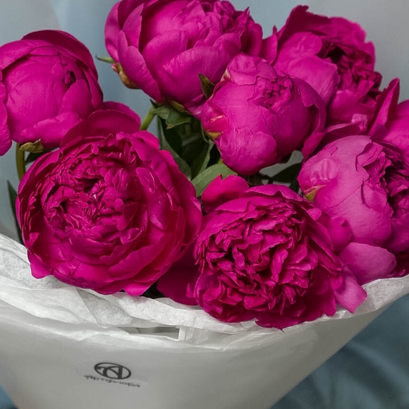 Букет из 9 малиновых пионов (Россия)