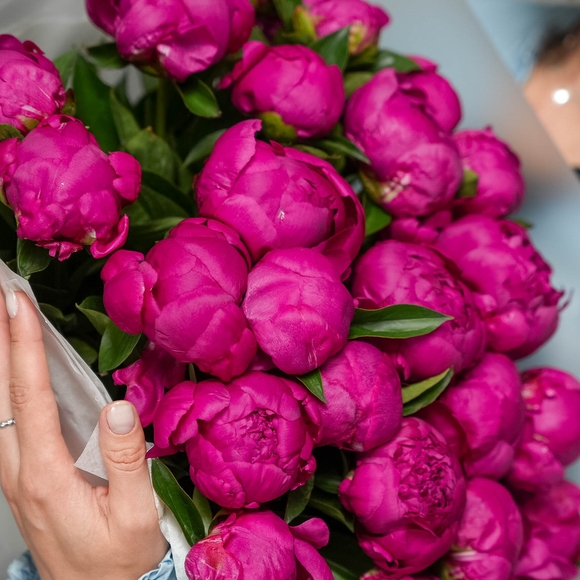 Букет из 25 малиновых пионов (Россия)