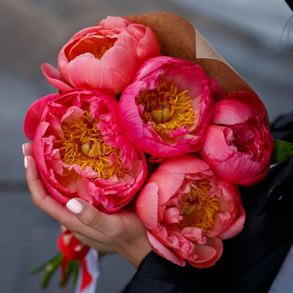 Букет из 5 коралловых пионов (Голландия)