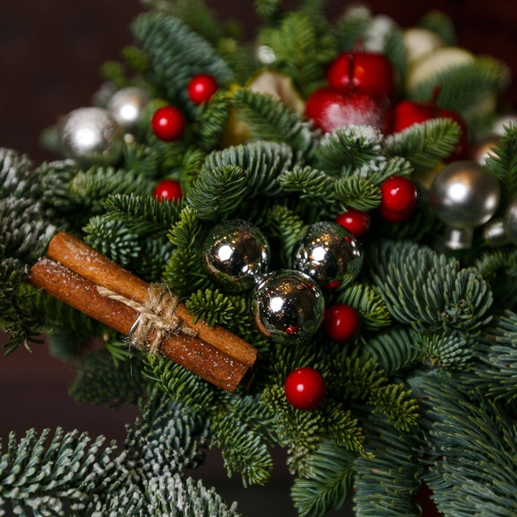 Веточка корицы