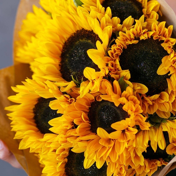 Букет из 9 подсолнухов