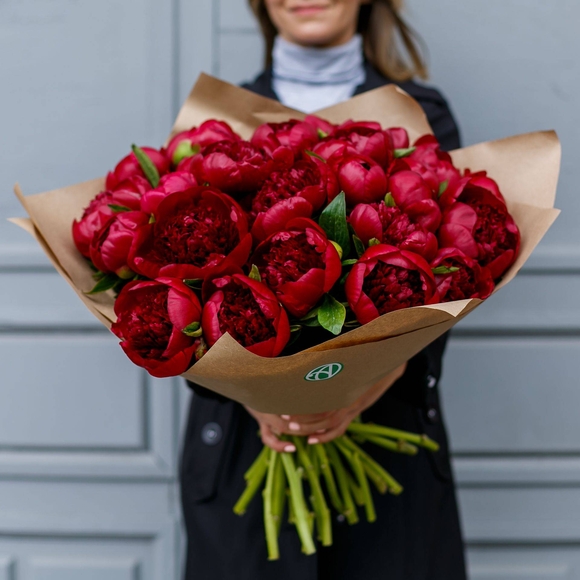 Букет из 25 бордовых пионов (Голландия). АКЦИЯ!