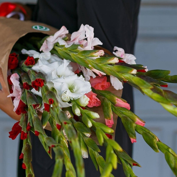 Букет из 11 гладиолусов микс (Голландия)