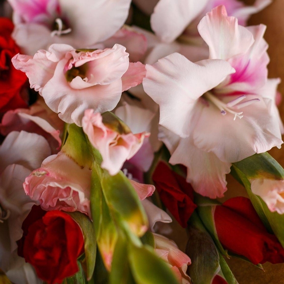 Букет из 7 гладиолусов микс (Голландия)