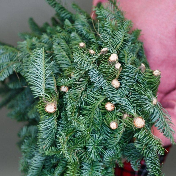 Банч нобилиса (8-10 веток датской пихты)