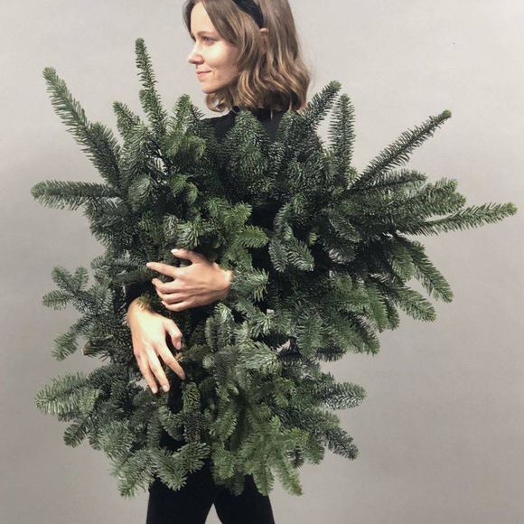 5 веток датской пихты нобилис