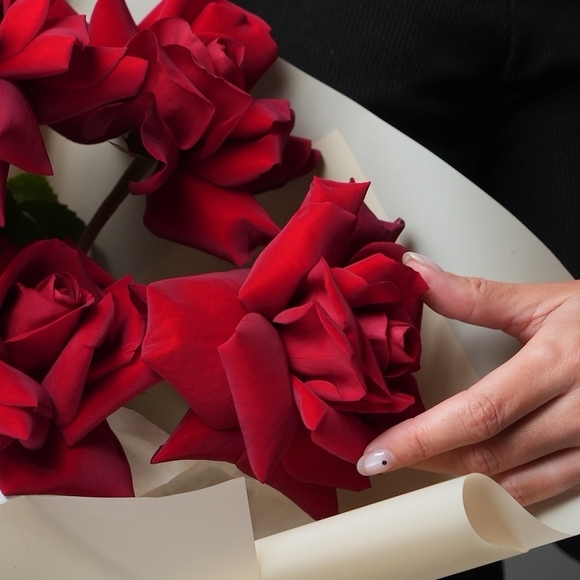 Роза французская красная 50 см поштучно