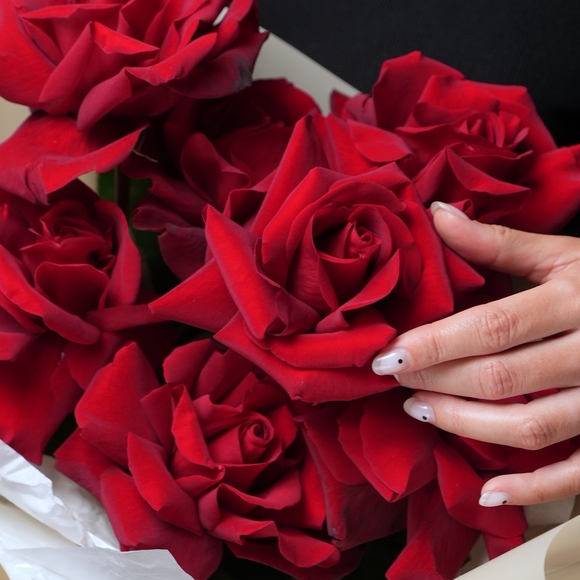 Роза французская красная 50 см поштучно