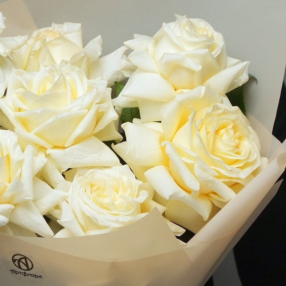 Роза французская кремовая 50 см поштучно