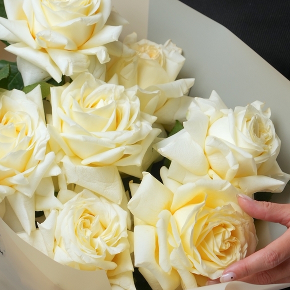 Роза французская кремовая 50 см поштучно