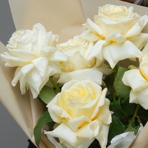 Букет из 5 кремовых французских роз в корейской упаковке