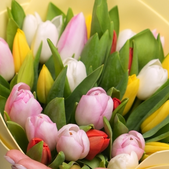 Букет из 35 тюльпанов яркий микс (Голландия) в фоамиране