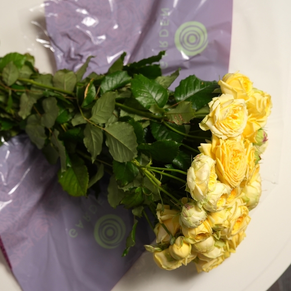 Пачка желтых пионовидных кустовых роз