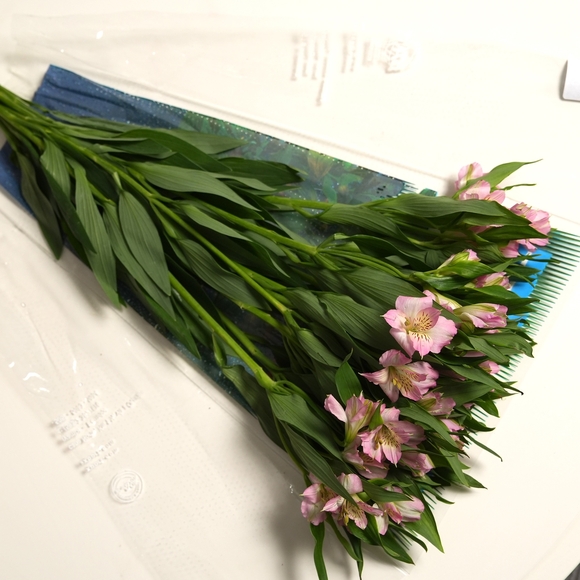 Пачка розовых альстромерий