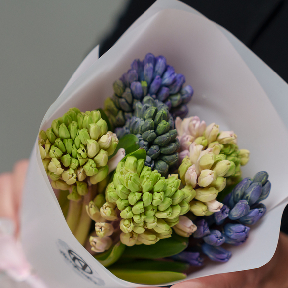 Букет из 7 гиацинтов микс