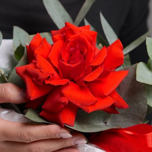 Шляпная коробка с алой французской розой - S