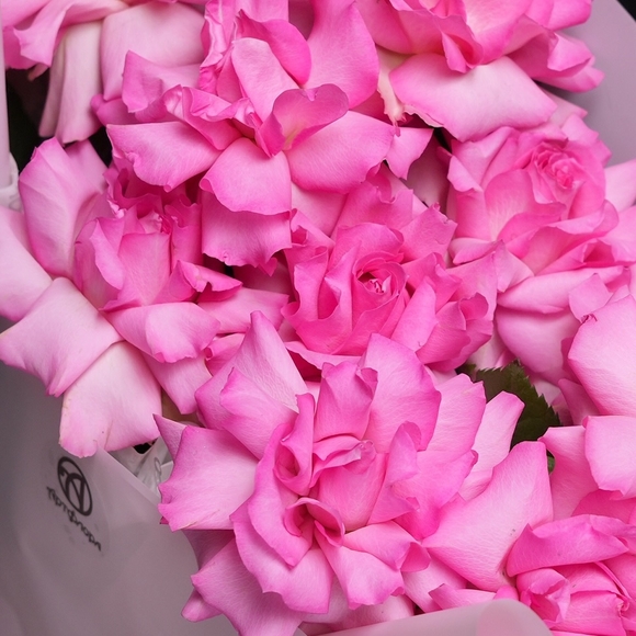 Букет из 11 ярко-розовых французских роз в корейской упаковке