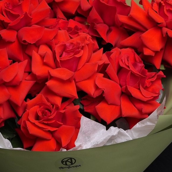 Букет из 11 алых французских роз в корейской упаковке
