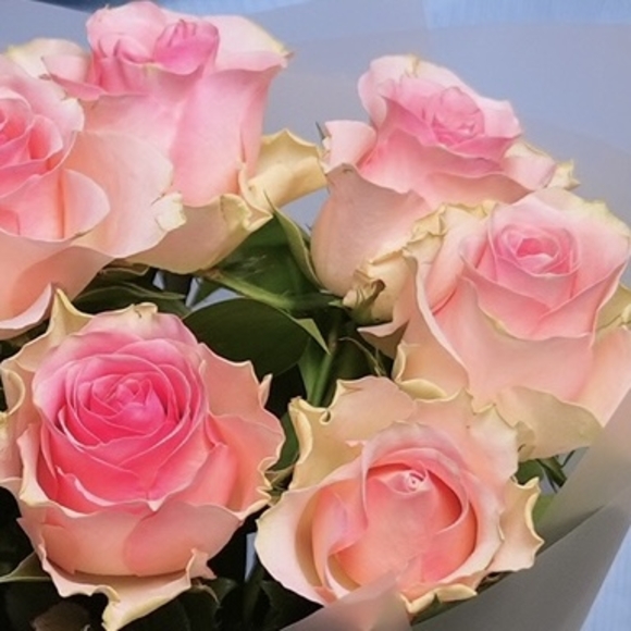 Светло-розовый букет-комплимент в корейской матовой упаковке