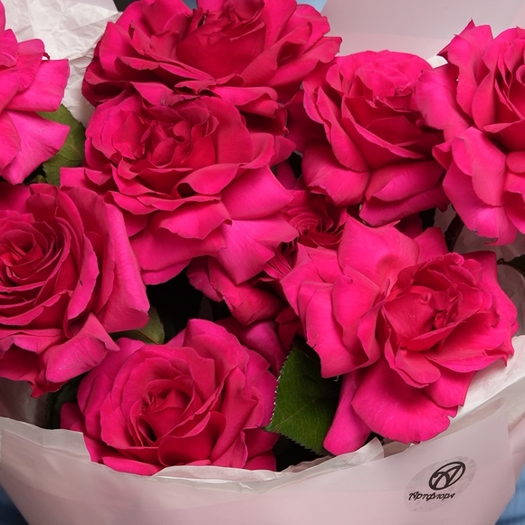 Букет из 9 малиновых французских роз в корейской упаковке