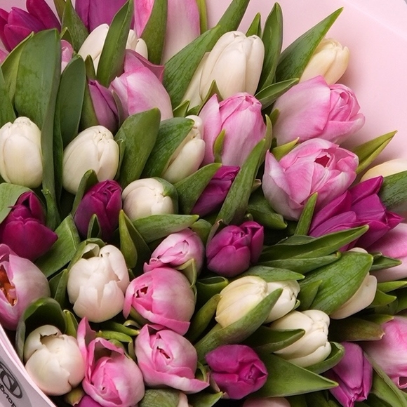 Букет из 51 тюльпана микс нежный (Голландия) в фоамиране
