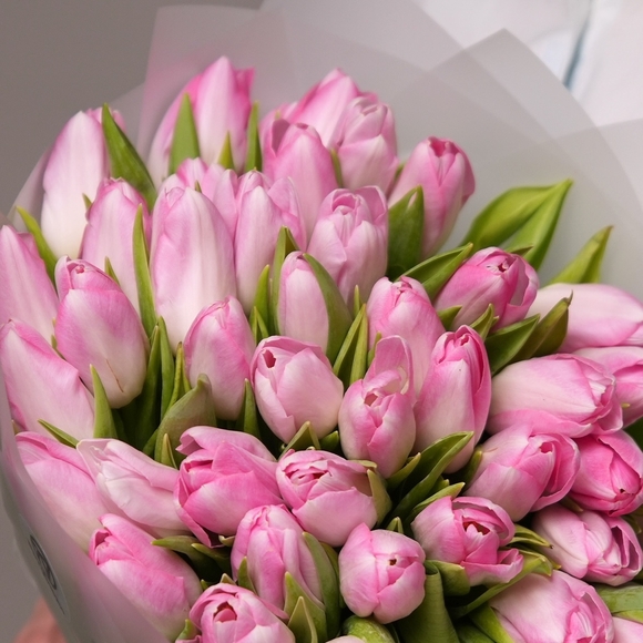 Букет из 51 розового тюльпана (Голландия) в корейской матовой упаковке