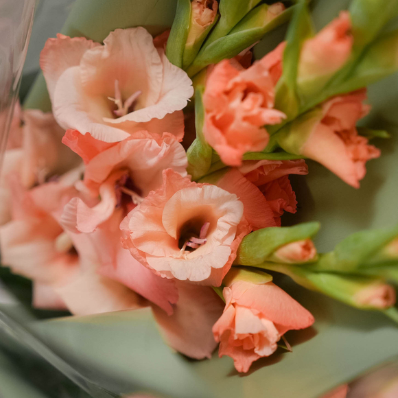 Букет из 3 персиковых гладиолусов