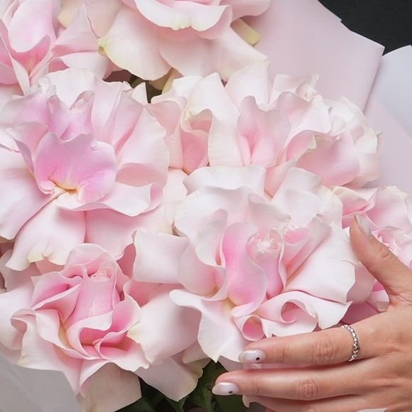 Букет из 9 розовых французских роз в корейской упаковке