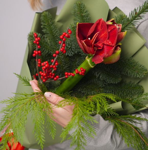 Зимний букет с амариллисом и илексом