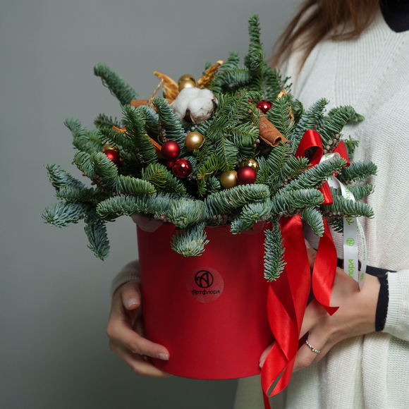 Зимняя шляпная коробка красная - М