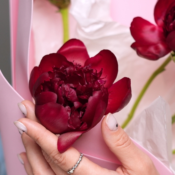 Букет из 5 бордовых пионов (Россия) в фоамиране