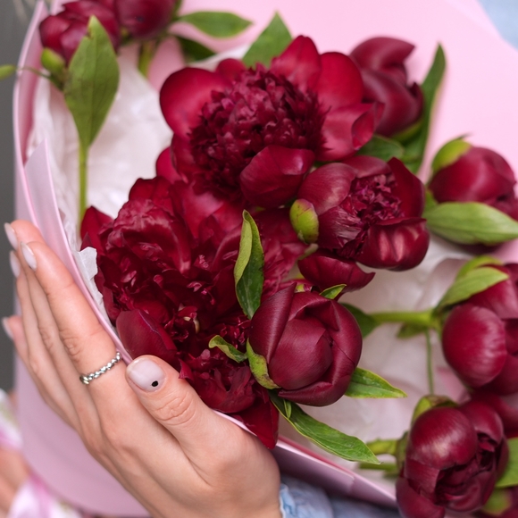 Букет из 11 бордовых пионов (Россия) в фоамиране