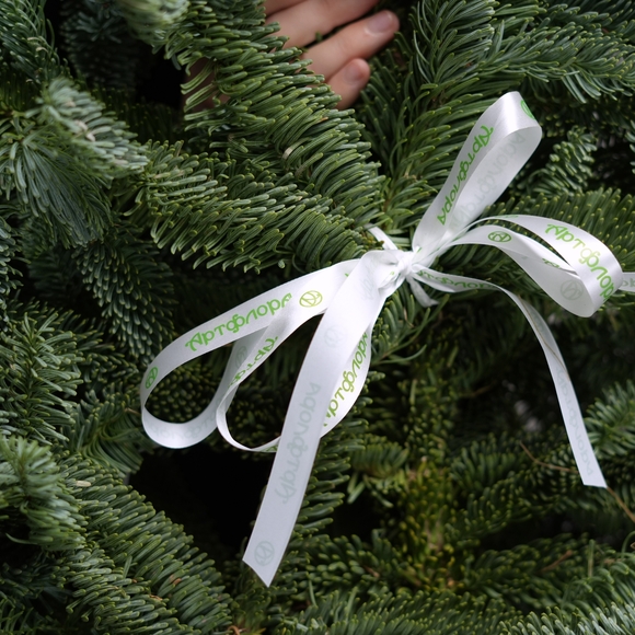 Охапка нобилиса - S