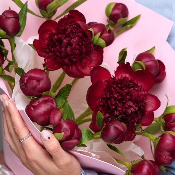 Букет из 15 бордовых пионов (Россия) в фоамиране