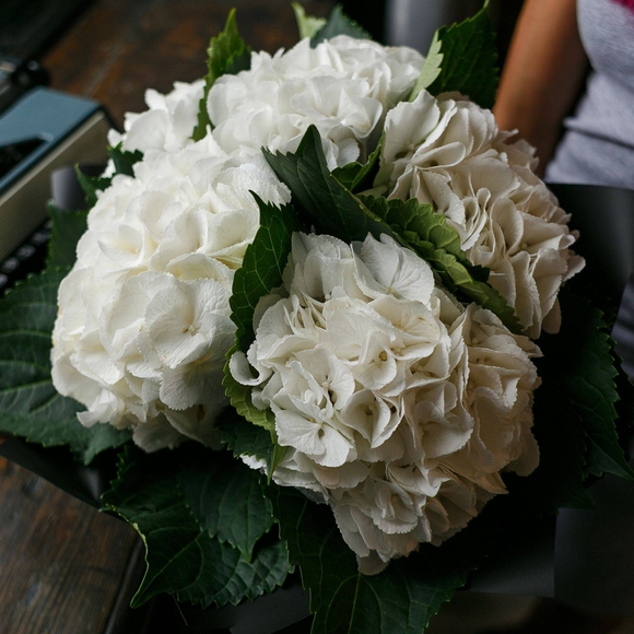 Букет из 5 белых гортензий