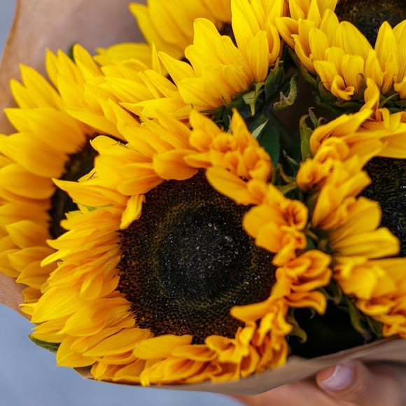 Букет из 5 подсолнухов