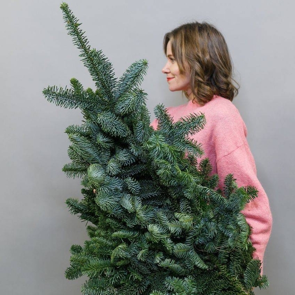 Банч нобилиса (8-10 веток датской пихты)