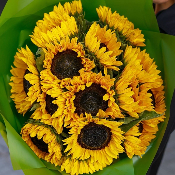 Букет из 15 подсолнухов