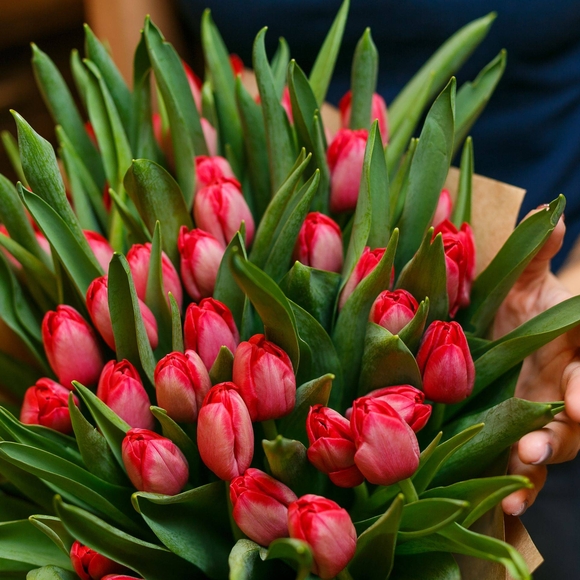Тюльпаны красные поштучно