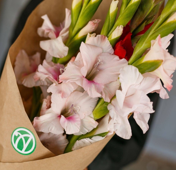 Букет из 5 гладиолусов микс (Голландия)