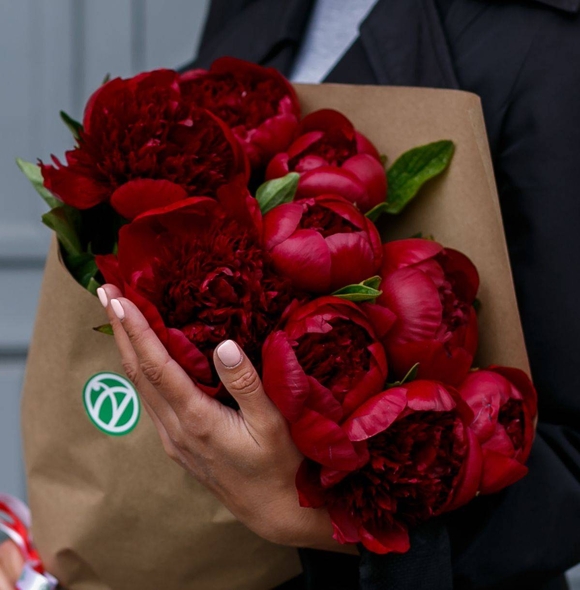 Букет из 9 бордовых пионов (Голландия). АКЦИЯ!