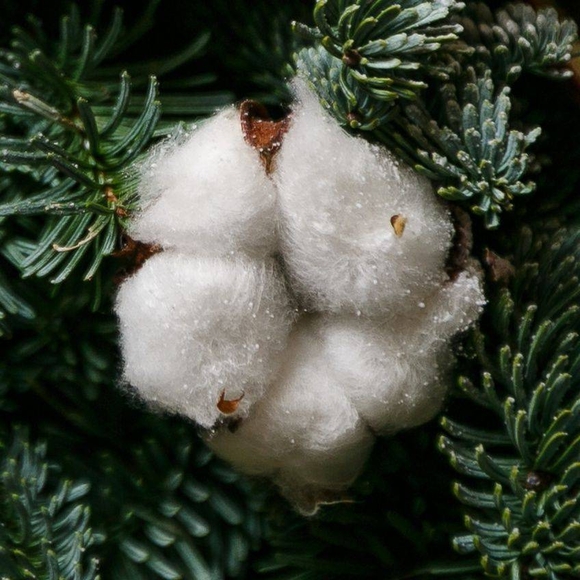 Новогоднее украшение "Хлопок"