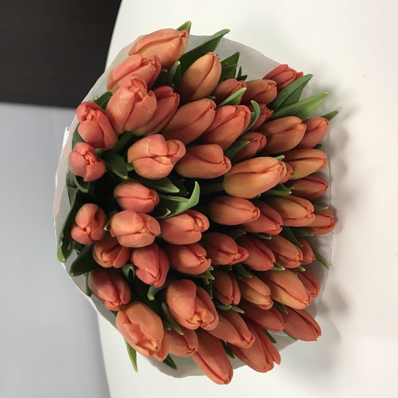 Тюльпаны оптом от 50 шт оранжевые (Голландия) 