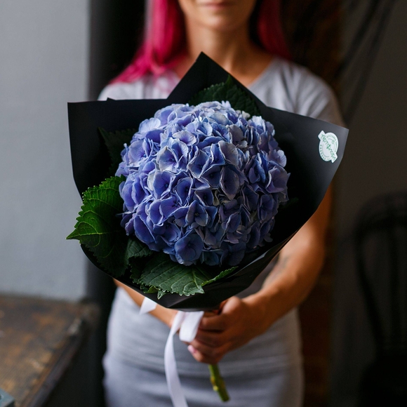 Букет из 1 голубой гортензии